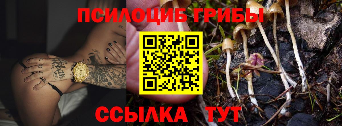 Псилоцибиновые грибы MAGIC MUSHROOMS Губкин